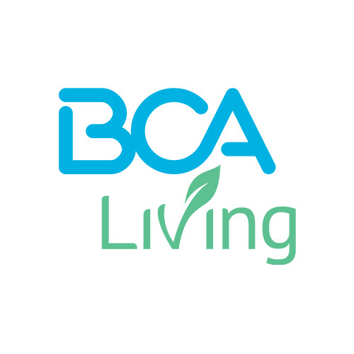 CÔNG TY CỔ PHẦN BCA SOLUTIONS