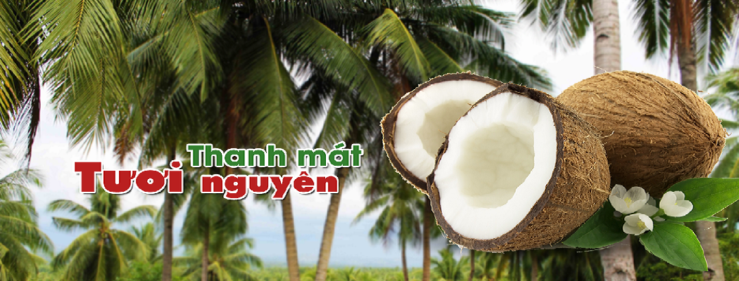 Công ty Cổ phần Đầu tư Dừa Bến Tre (BEINCO)