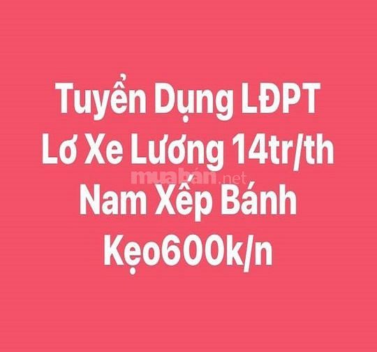 Sieu thi tai ben tre tuyen lo xe va lao