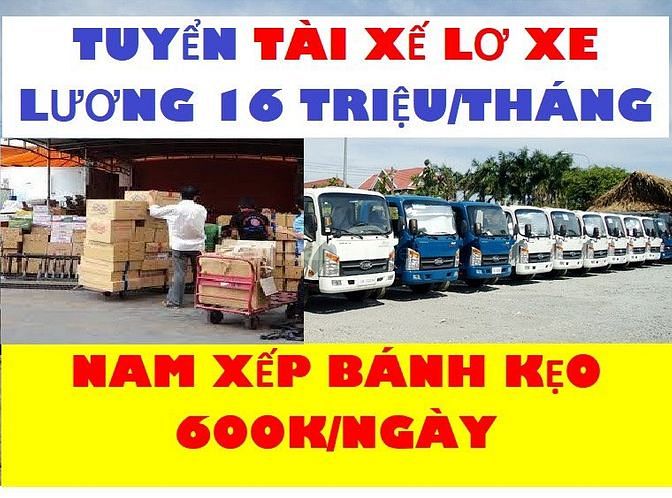 Tuyen Dung gt Tai Xe amp Lo Xe 16trthang